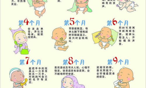食物四味是哪些-食物四味的资料网 - 为你提供食物的四性五味、食物四味是哪些